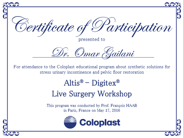 certificate for workshop participation