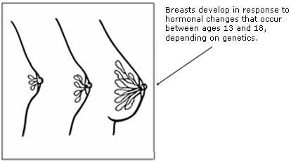 Breast Feeding Advices