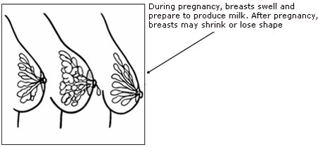 Breast Feeding Advices